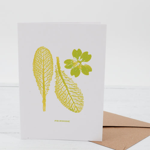 Primrose botanical print greetings card