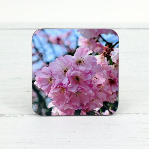 Blossom coaster