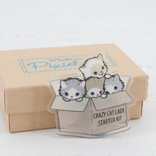 Load image into Gallery viewer, Crazy Cat Lady starter kit brooch