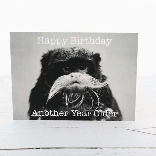 Emperor Tamarin birthday card