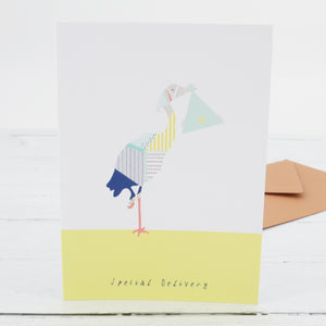 Stork and Baby Greetings Card